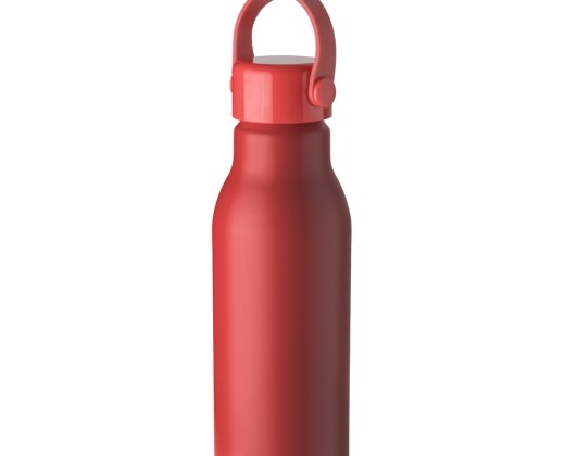 Garrafa alumínio 700ml promocional